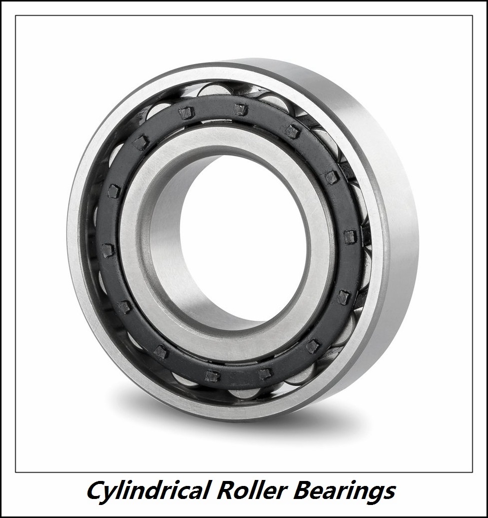 1.181 Inch | 30 Millimeter x 2.835 Inch | 72 Millimeter x 0.748 Inch | 19 Millimeter CONSOLIDATED BEARING N-306E Cylindrical Roller Bearings