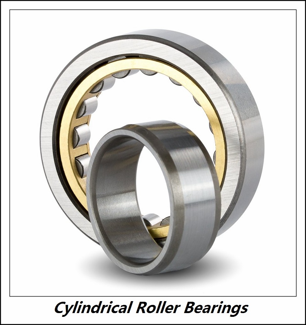 2.165 Inch | 55 Millimeter x 4.724 Inch | 120 Millimeter x 1.142 Inch | 29 Millimeter  CONSOLIDATED BEARING NF-311 M  Cylindrical Roller Bearings
