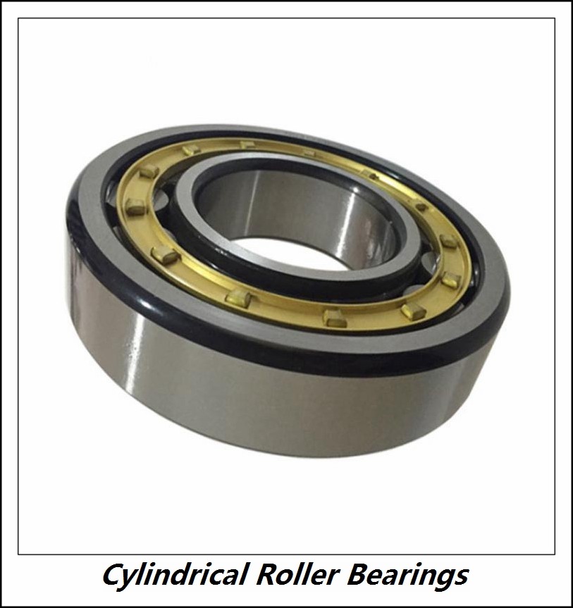 0.787 Inch | 20 Millimeter x 1.85 Inch | 47 Millimeter x 0.709 Inch | 18 Millimeter  CONSOLIDATED BEARING NJ-2204E  Cylindrical Roller Bearings