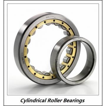 0.984 Inch | 25 Millimeter x 2.441 Inch | 62 Millimeter x 0.669 Inch | 17 Millimeter  CONSOLIDATED BEARING N-305E C/3  Cylindrical Roller Bearings