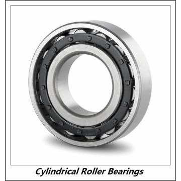 3.15 Inch | 80 Millimeter x 6.693 Inch | 170 Millimeter x 1.535 Inch | 39 Millimeter  CONSOLIDATED BEARING NU-316E C/3  Cylindrical Roller Bearings