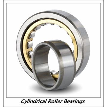 0.787 Inch | 20 Millimeter x 1.85 Inch | 47 Millimeter x 0.709 Inch | 18 Millimeter  CONSOLIDATED BEARING NJ-2204E M C/3  Cylindrical Roller Bearings