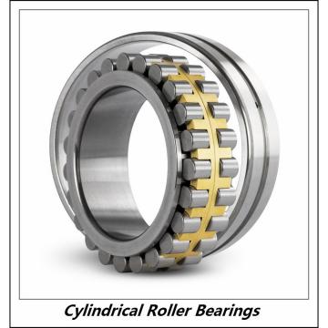 3.74 Inch | 95 Millimeter x 7.874 Inch | 200 Millimeter x 1.772 Inch | 45 Millimeter  CONSOLIDATED BEARING N-319E  Cylindrical Roller Bearings