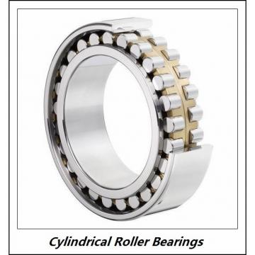 3.15 Inch | 80 Millimeter x 4.921 Inch | 125 Millimeter x 0.866 Inch | 22 Millimeter  CONSOLIDATED BEARING NU-1016 M  Cylindrical Roller Bearings