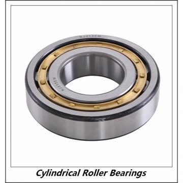 3.15 Inch | 80 Millimeter x 6.693 Inch | 170 Millimeter x 1.535 Inch | 39 Millimeter  CONSOLIDATED BEARING NU-316E M  Cylindrical Roller Bearings