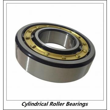 2.165 Inch | 55 Millimeter x 4.724 Inch | 120 Millimeter x 1.693 Inch | 43 Millimeter  CONSOLIDATED BEARING NU-2311 C/3  Cylindrical Roller Bearings