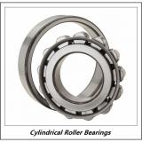 1.181 Inch | 30 Millimeter x 2.835 Inch | 72 Millimeter x 0.748 Inch | 19 Millimeter  CONSOLIDATED BEARING NF-306 M  Cylindrical Roller Bearings