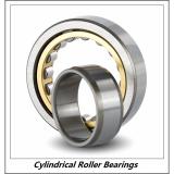 1.969 Inch | 50 Millimeter x 4.331 Inch | 110 Millimeter x 1.063 Inch | 27 Millimeter  CONSOLIDATED BEARING NU-310E-K C/3  Cylindrical Roller Bearings