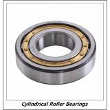 1.969 Inch | 50 Millimeter x 4.331 Inch | 110 Millimeter x 1.063 Inch | 27 Millimeter  CONSOLIDATED BEARING N-310E M C/3  Cylindrical Roller Bearings