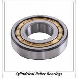 2.165 Inch | 55 Millimeter x 4.724 Inch | 120 Millimeter x 1.142 Inch | 29 Millimeter  CONSOLIDATED BEARING NU-311  Cylindrical Roller Bearings